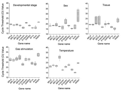 Identification and Validation of Reference Genes for Expression Analysis Using qRT-PCR in Cimex ...