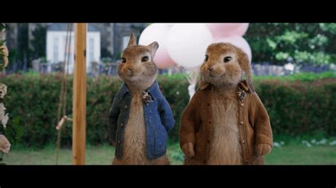 Peter Rabbit 2 4K Review : r/HD_MOVIE_SOURCE