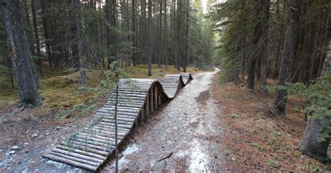 The 10 Best Mountain Bike Trails in California to See a Ghost