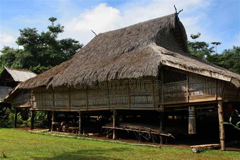 Traditional Village House In South Laos Stock Photo - Image of nature ...