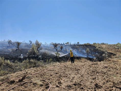 Field fire burns over 100 acres in Shelley, now 100% contained - East Idaho News