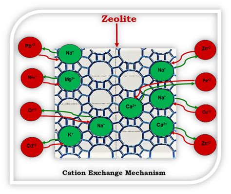 Mechanism of Action of Zeolite | Download Scientific Diagram