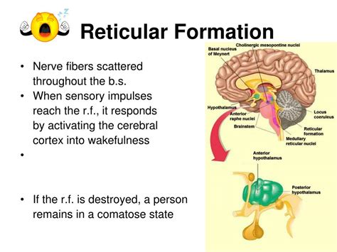 PPT - Chapter 11 PowerPoint Presentation, free download - ID:5790377