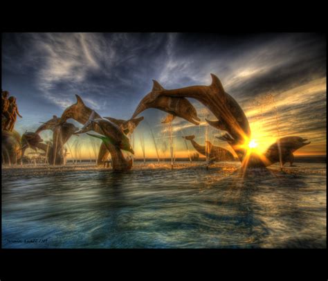 Wallpaper Dolphin Sunset - WallpaperSafari