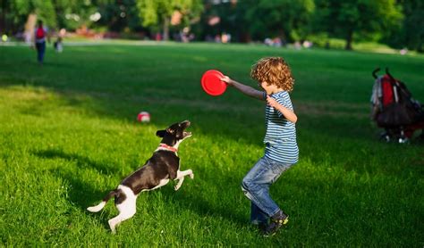 How To Teach Kids To Behave Around Dogs - Instructional Video