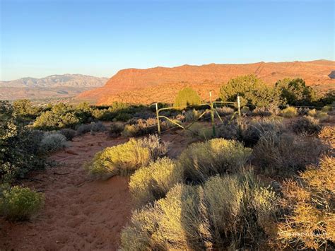 Snow Canyon Petroglyphs - Utah Hiking Beauty