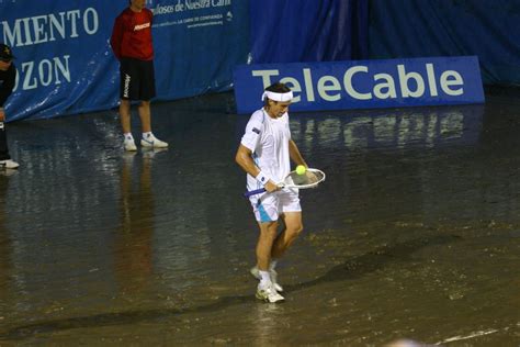 david - David Ferrer Photo (13809938) - Fanpop