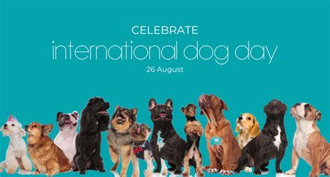 Celebrate International Dog Day | Pet Angel Funerals