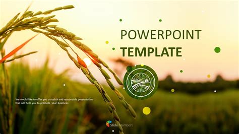 Free Presentation Template - Autumn Rice Plant