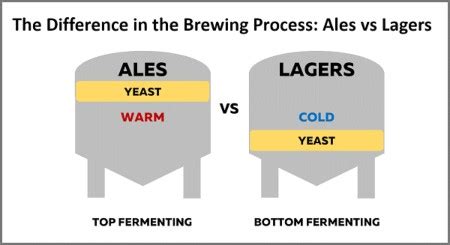 Lager Vs Ale Difference