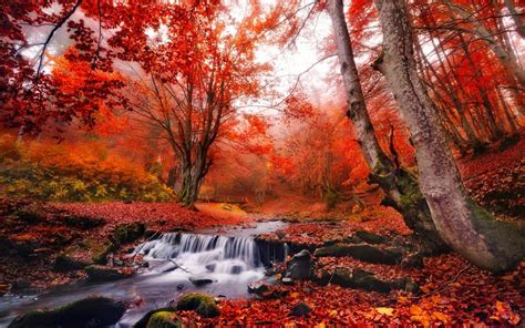 Waterfall in Autumn Forest Image - ID: 31783 - Image Abyss