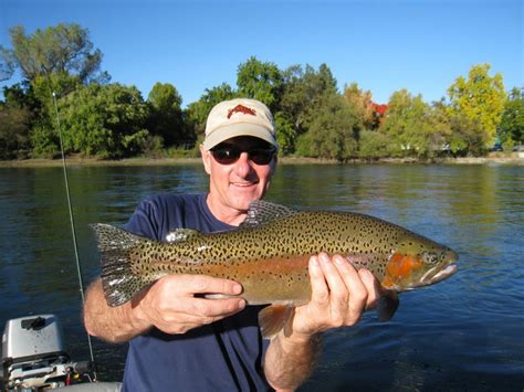 Trinity River Fishing: The Complete Guide