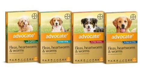 Advocate Dog 22-55lbs 2.5ml 3 pack