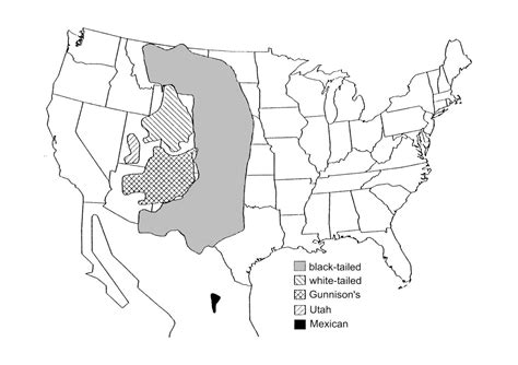 Black Tailed Prairie Dog Map