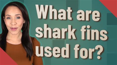 What are shark fins used for? - YouTube