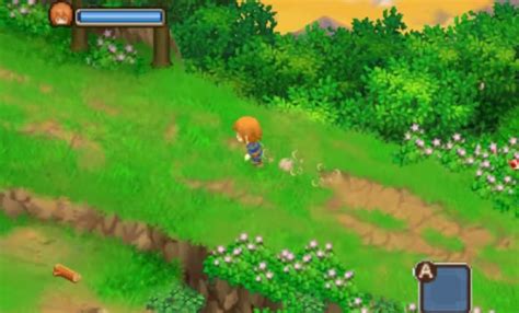 Harvest Moon: The Tale of Two Towns + - gameplay info | The GoNintendo ...