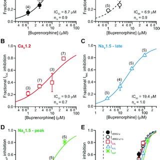 Effects of norbuprenorphine. Concentration-inhibition plots of... | Download Scientific Diagram