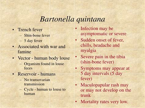 Bartonella henselae antibiotics