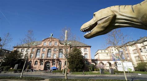 Best Museums of Frankfurt – Welcome to Traveling To World: The Smooth way to World Discovery