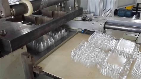 PP Automatic Plastic Thermoforming Machine for Egg Packing - YouTube