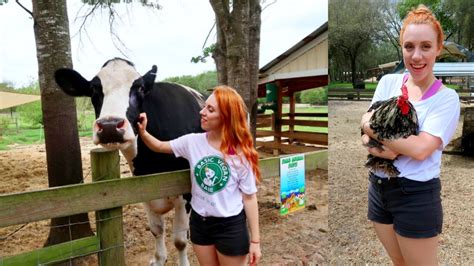 Volunteering at a Farm Animal Sanctuary! - YouTube