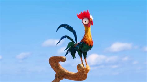 Moana Chicken Wallpaper 00838 - Baltana