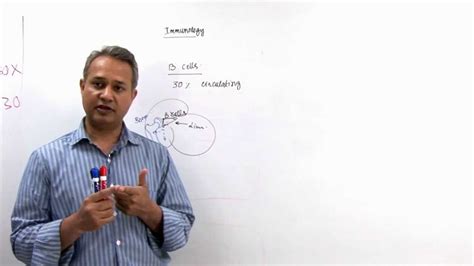 Immunology Lecture 11 Part 1 B cells - YouTube