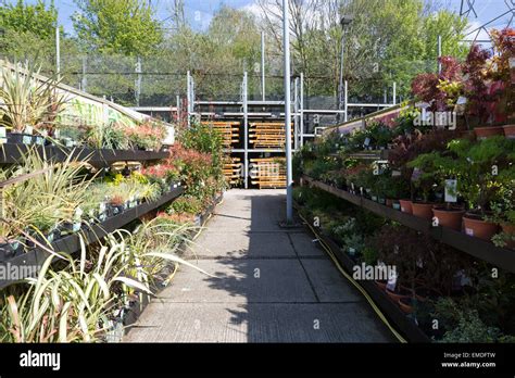 B&q garden aisle hi-res stock photography and images - Alamy