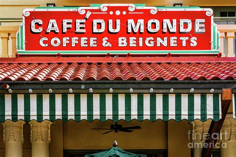 Cafe Du Monde Coffee and Beignets Photograph by Kathleen K Parker
