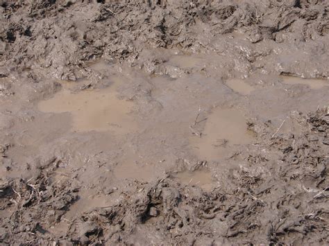 Free photo: Muddy water - Dirt, Dirty, Grunge - Free Download - Jooinn