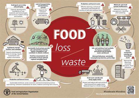 7 ways to reduce food waste and tackle world hunger | World Economic Forum