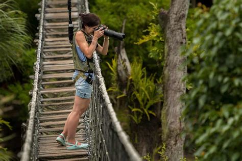 Wild Africa Trek at Disney's Animal Kingdom Review