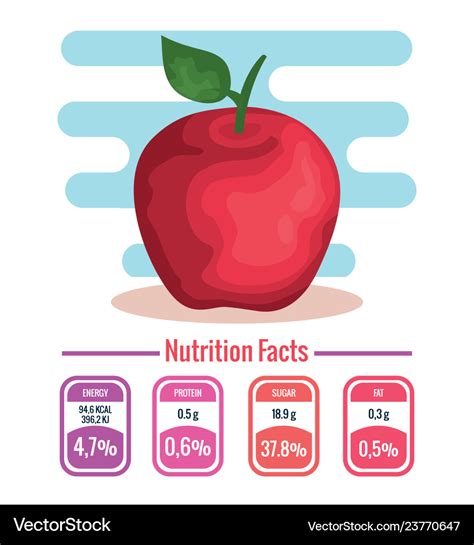 Fresh apple fruit with nutrition facts Royalty Free Vector