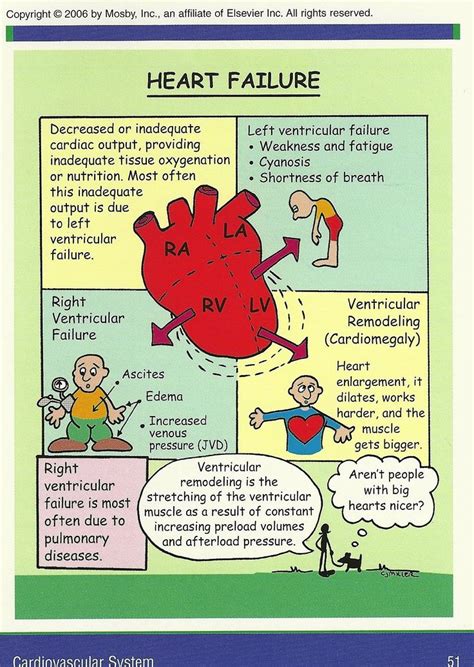 43 best Diastolic Heart Failure images on Pinterest | Diastolic heart ...