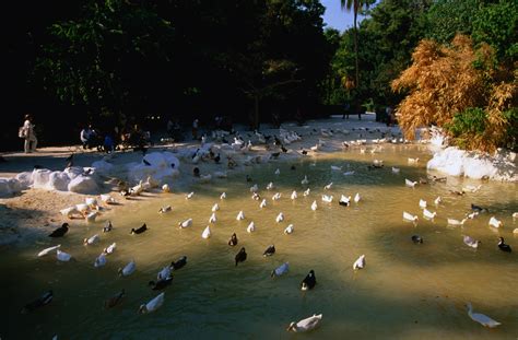 National Gardens | Athens, Greece Attractions - Lonely Planet