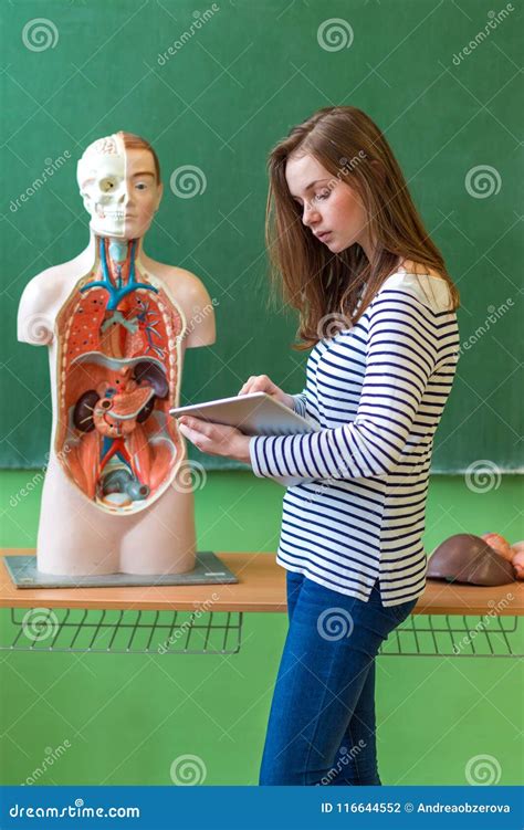 Antique Illustration Of Human Body Anatomy Larynx Hig - vrogue.co