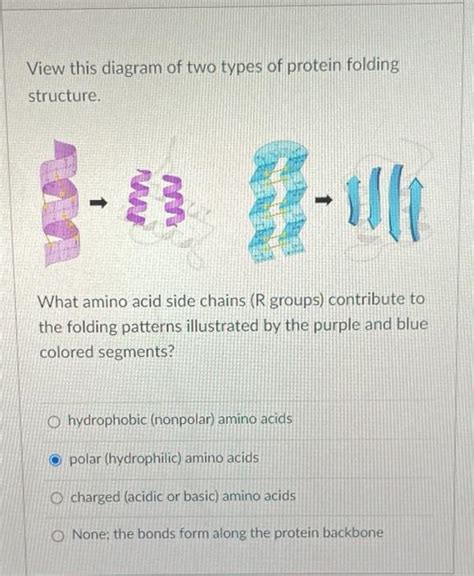 Solved View this diagram of two types of protein folding | Chegg.com