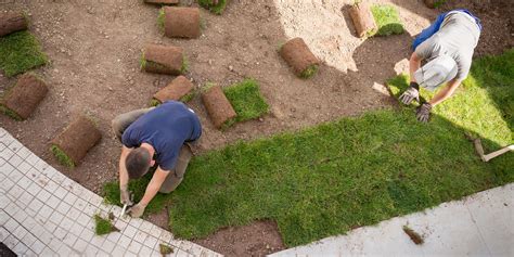 Turf Installer - What Artificial Grass Specialists do?