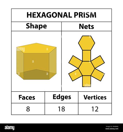 Hexagonal prism nets, faces, edges, and vertices. Geometric figures are ...