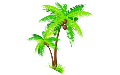 Beach Coconut Tree PNG Images Transparent Background | PNG Play