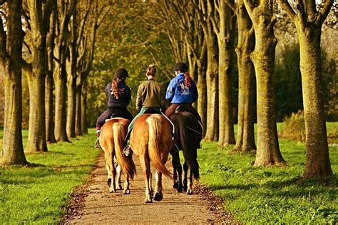 TREC à Cheval - Techniques de randonnée équestre de compétition ...