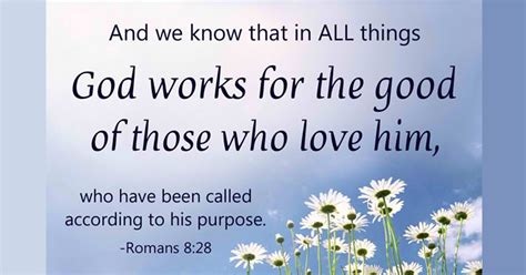 Romans 8:28 - Samoa Global News