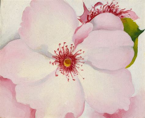 Georgia O Keeffe Flower Paintings Rose | Best Flower Site