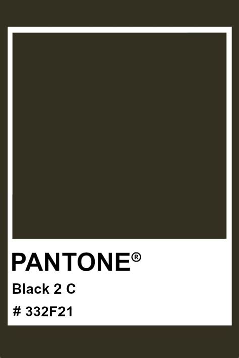 PANTONE Black 2 C #pantone #color #PMS #hex Pantone Matching System ...