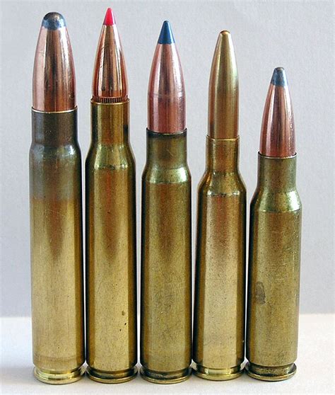 Greatest Cartridges: 9.3×62 Mauser, Effective On About Everything | The Daily Caller