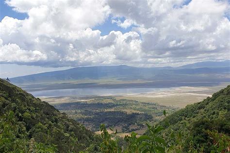 7 Days Safari Lake Victoria, Serengeti, Ngorongoro Crater, Lake Manyara ...