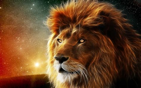 2560x1440px | free download | HD wallpaper: Animal, 1920x1200, dead, Lion, walking, judah ...