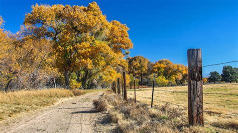 Walking Around the Mojave Narrows | BackRoadsWest Trips Blog