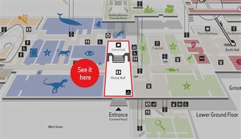 Natural History Museum Map