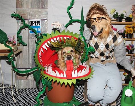 Winners Of Our Halloween Howl Dog Costume Contest | PetGuide